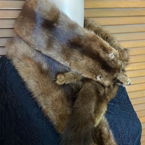 Vintage 1950-1960 Mink Collar - Picture 1 of 11